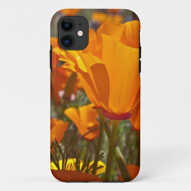 Coques Case-Mate iPhone Pavots de Californie oranges lumineux (Dos)