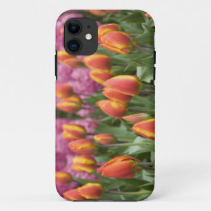 Etui iPhone Case-Mate Pays-Bas (aussi appelé Hollande), Lisse. Keukenhof