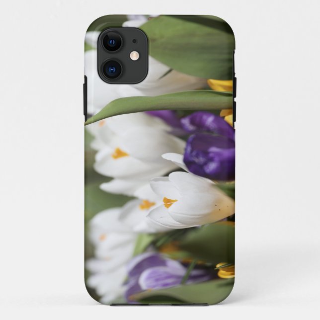 Coques Case-Mate iPhone Pays-Bas, Jardins de Keukenhoff, Tulipes. (Dos)