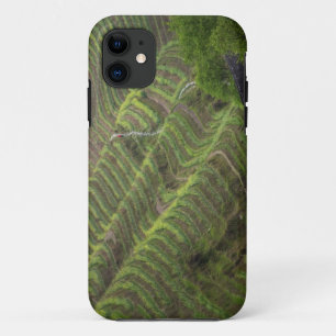 Coques Pour iPhone Paysage de rizières en terrasses dans la montagne,