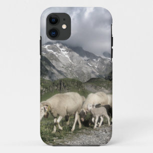 Coques Pour iPhone paysage pyrénéen