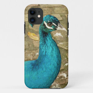 Case-Mate iPhone Case Peacock Belle photographie nature