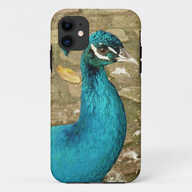 Coques Case-Mate iPhone Peacock Belle photographie nature (Dos)
