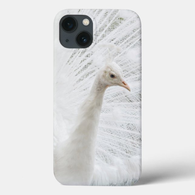 Coques Case-Mate iPhone Peacock blanc belles plumes (Verso)