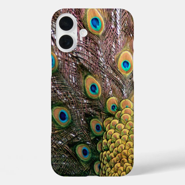 Coques Case-Mate iPhone Peacock Feathers Emerald Green et Gold (Verso)