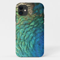 Peacock Plumes I Colorful Abstrait Nature Design