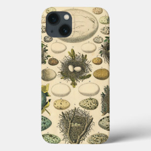 Case-Mate iPhone Case Peinture artistique de nid d'oeuf d'oiseau vintage