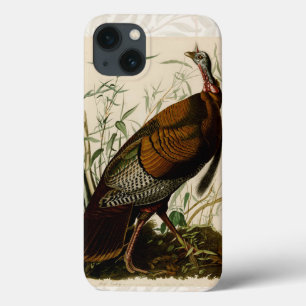 iPhone 13 Coque Peinture d'oiseaux sauvages de Turquie Audubon