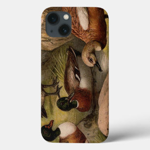 Coques Pour iPhone Peinture vintage colorée de canards