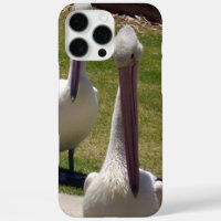 Pelican Avec Une Attitude,