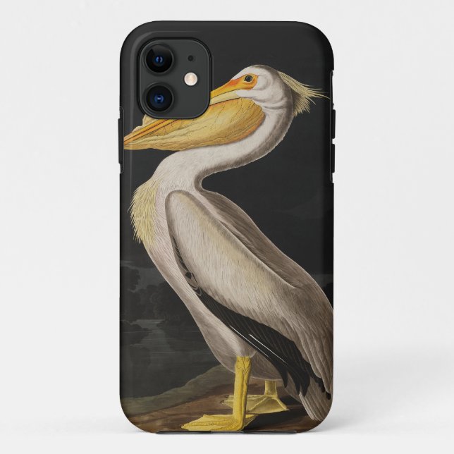 Coques Case-Mate iPhone Pélican blanc antique de John James Audubon côtier (Dos)