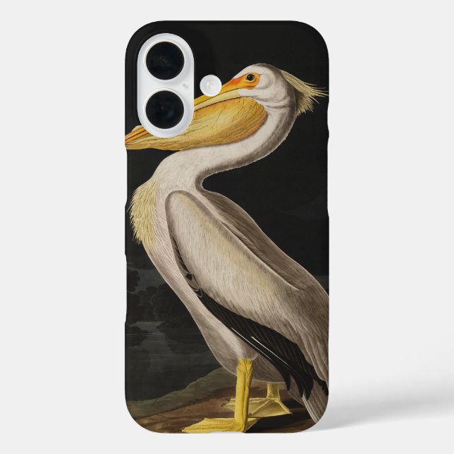 Coques Case-Mate iPhone Pélican blanc antique de John James Audubon côtier (Verso)