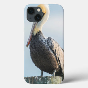 Case-Mate iPhone Case Pelican perché sur le pylône