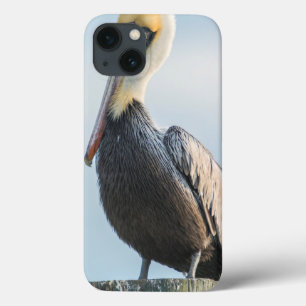 Coques Pour iPhone Pélican perché sur pylône