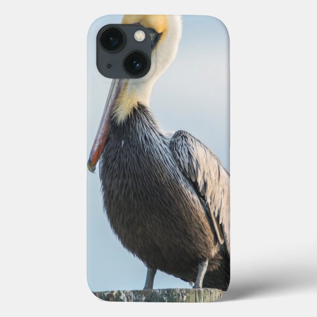 Coques Case-Mate iPhone Pélican perché sur pylône (Verso)