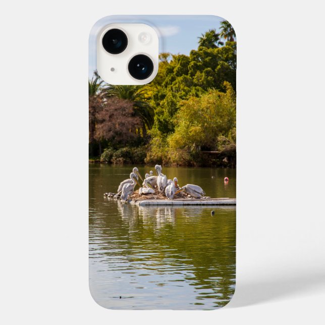 Coques Case-Mate iPhone Pélicans sur le lac au Phoenix Zoo (Verso)