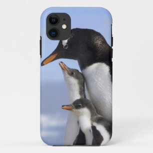 Case-Mate iPhone Case Péninsule Antarctique, Neko Harbour, Gentoo