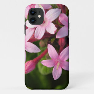 Coque Case-Mate Pour iPhone Pentas