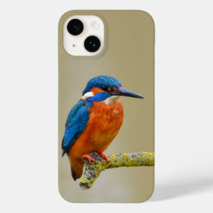 Coque Case-Mate iPhone Perching Kingfisher
