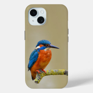 Coque Case-Mate iPhone Perching Kingfisher