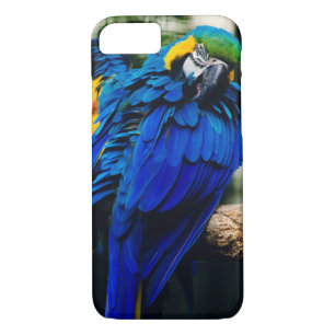 Etui iPhone Case-Mate Perroquet bleu d'ara, oiseau tropical exotique