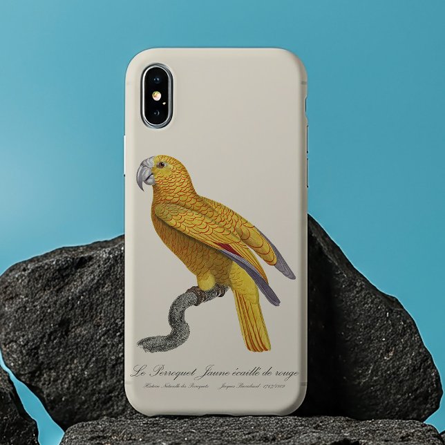 Coques Case-Mate iPhone Perroquet de Paradis de Cuba, Psittacus Paradisi (Le Perroquet Jaune ecaille de rouge. iPhone 13 Pro Max Case)