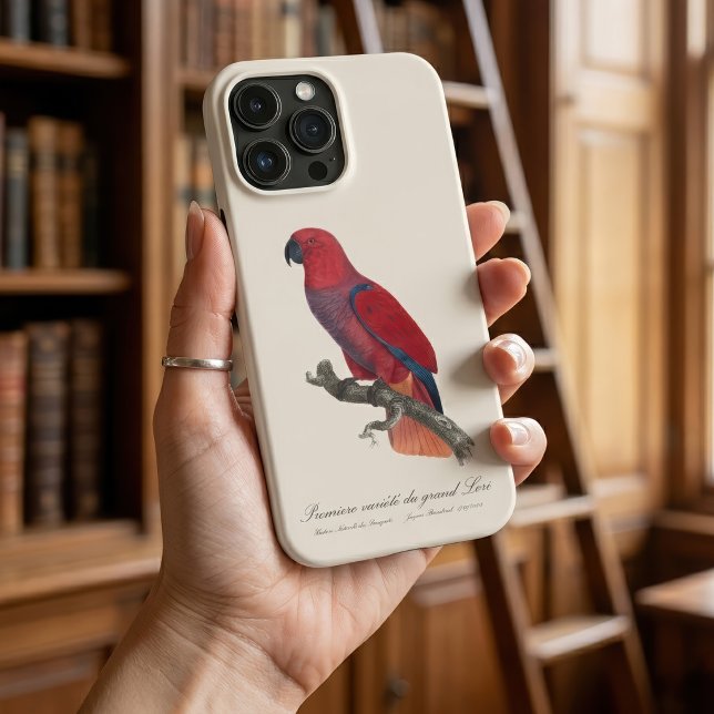 Coques Case-Mate iPhone Perroquet éclectus de Vosmaer, Eclectus Roratus Vo (Vosmaer Eclectus Parrot, Eclectus Roratus Vosmaeri. iPhone Case)