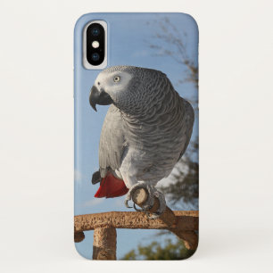 Coque iPhone X Perroquet renversant de gris africain