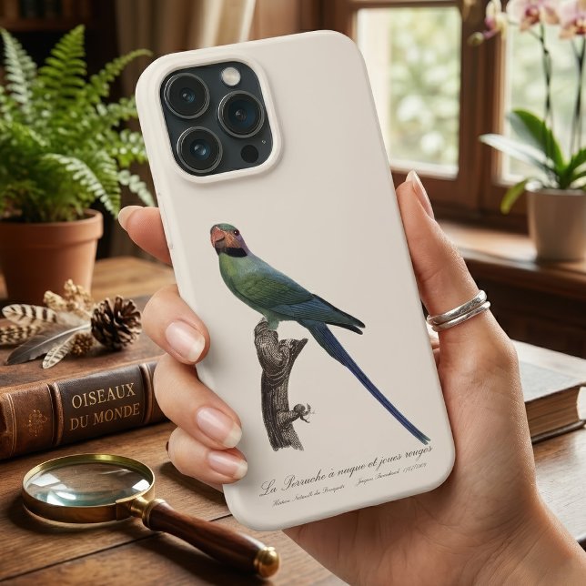 Coques Case-Mate iPhone Perruche à longue queue, Psittacula Longicauda (Long-Tailed Parakeet, Psittacula Longicauda. iPhone Case)