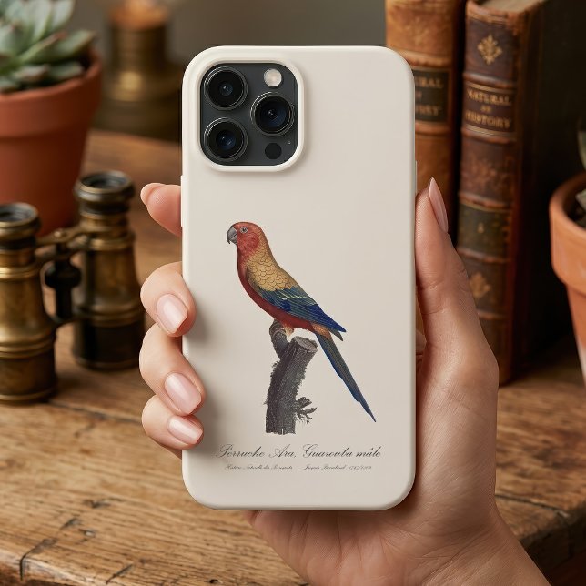 Coques Case-Mate iPhone Perruche soleil mâle, Aratinga solstitialis (Sun Parakeet Male, Aratinga Solstitialis. iPhone Case)