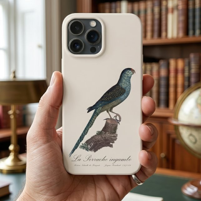 Coques Case-Mate iPhone Perruche terrestre ou Perruche des marais, Pezopor (Ground Parrot or Swamp Parrot, Pezoporus Wallicus. iPhone Case)