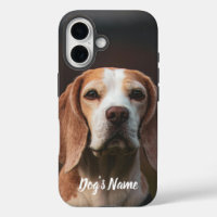 Personnalisé votre chien Beagle Photo et nom