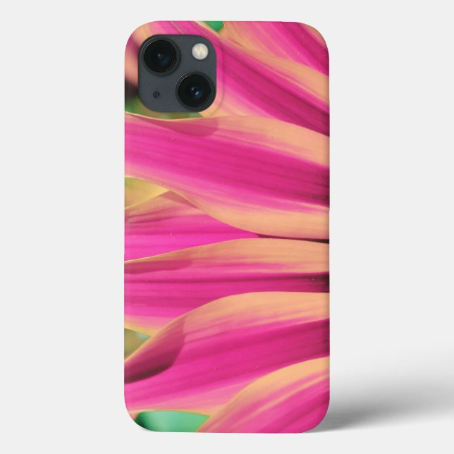 Coques Case-Mate iPhone Pétales de marguerite rose chaud (Verso)