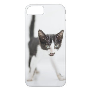 Coque Case-Mate Pour iPhone Petit chat