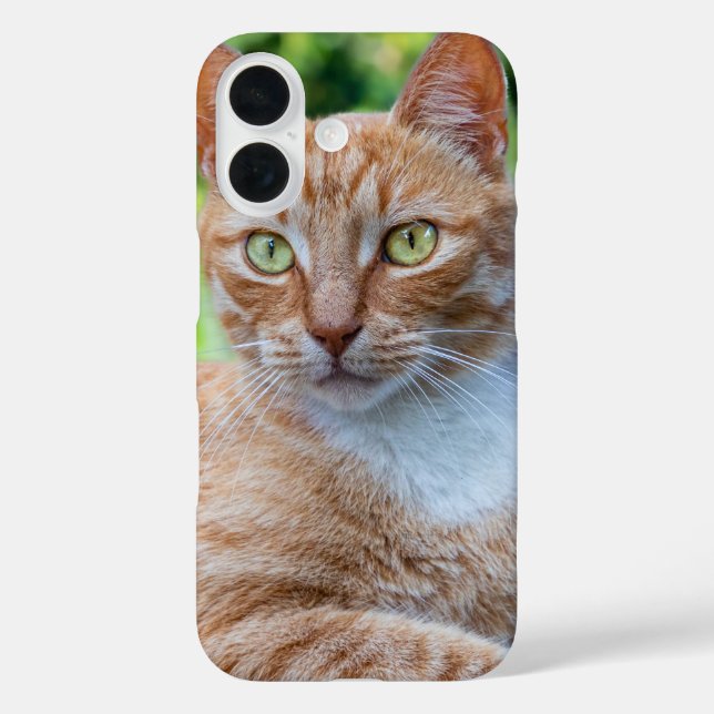 Coques Case-Mate iPhone Petit chou doux (Verso)
