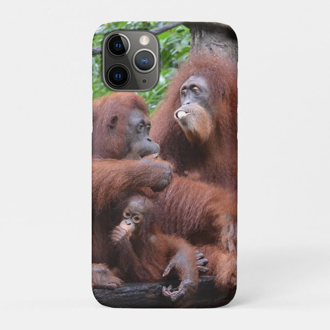 Coques Case-Mate iPhone Petit déjeuner avec le zoo de Singapour Orangutans (Dos)