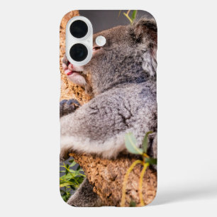 Coque Pour iPhone 16 Petit koala doux