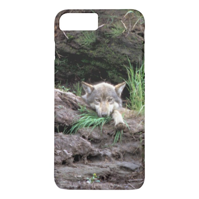 Coques Case-Mate iPhone Petit loup de bois sauvage à Den (Dos)