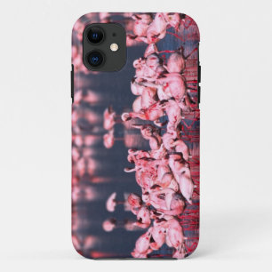 Coque Case-Mate Pour iPhone Petits Flamants (Phoeniconaias minor), Afrique,
