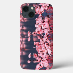 Coque Case-Mate iPhone Petits Flamants (Phoeniconaias minor), Afrique,