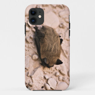 Coque Case-Mate Pour iPhone Peu batte Brown