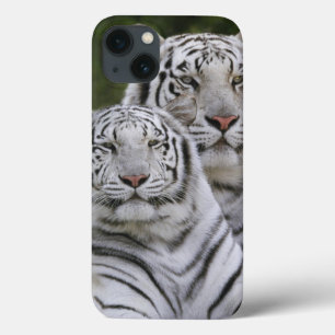 Coque Case-Mate iPhone Phase blanche, tigre de Bengale, Tigre