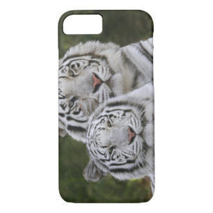 Etui iPhone Case-Mate Phase blanche, Tigre du Bengale, Tigre du Tigre, T