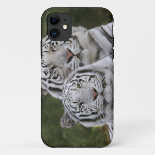 Etui iPhone Case-Mate Phase blanche, Tigre du Bengale, Tigris