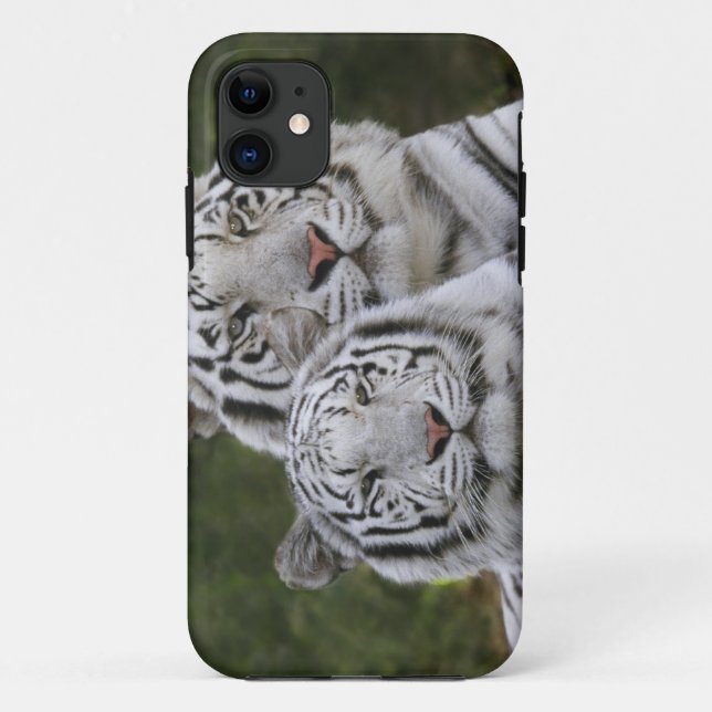 Coques Case-Mate iPhone Phase blanche, Tigre du Bengale, Tigris (Dos)