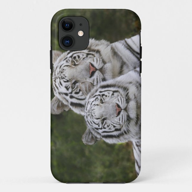 Coques Case-Mate iPhone Phase blanche, Tigre du Bengale, Tigris (Dos)