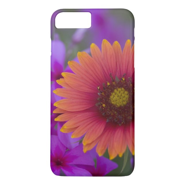 Coques Case-Mate iPhone Phlox et couverture indienne près de Devine Texas (Dos)