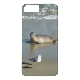 Case-Mate iPhone Case Phoque commun à La Jolla Californie