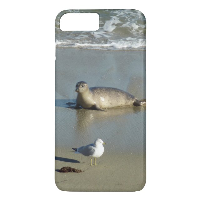 Coques Case-Mate iPhone Phoque commun à La Jolla Californie (Dos)