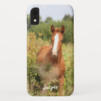 Photo Cheval Equestre Personnalisé